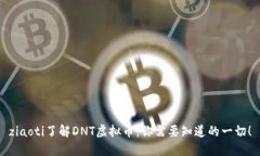 ziaoti了解DNT虚拟币：你需要知道的一切！