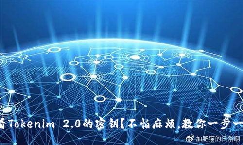 如何查看Tokenim 2.0的密钥?不怕麻烦,教你一步一步搞定!