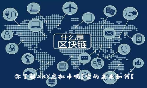 你了解XKY虚拟币吗?它的未来如何?