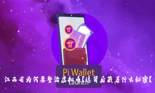 江西省为何要整治虚拟币?这背后藏着什么秘密?