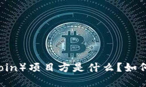 海盗币(Pirate Coin)项目方是什么?如何参与及投资揭秘!