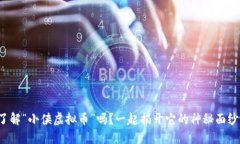 你了解“小侠虚拟币”吗？一起揭开它的神秘面