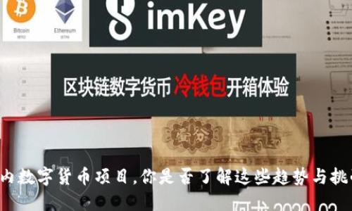 国内数字货币项目,你是否了解这些趋势与挑战?