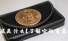 虚拟币牌照到底是什么？了解它的重要性与发展