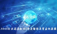 为什么BOSS会关闭虚拟币？深度解析其背后的原因