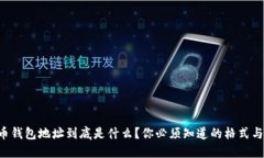 虚拟币钱包地址到底是什么？你必须知道的格式