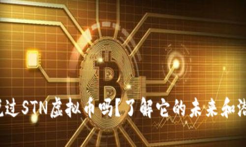 你听说过STN虚拟币吗?了解它的未来和潜力吧!