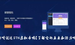 你听说过STN虚拟币吗？了解它的未来和潜力吧！