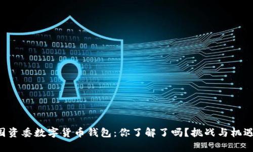 广州国资委数字货币钱包:你了解了吗?挑战与机遇并存!