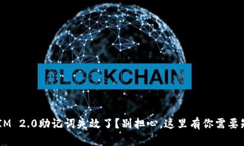 你的TokenIM 2.0助记词失效了?别担心,这里有你需要知道的一切!