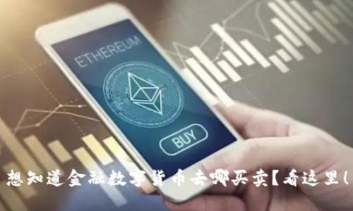 想知道金融数字货币去哪买卖?看这里!