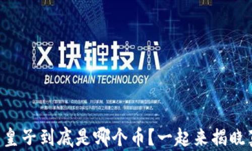 虚拟币皇子到底是哪个币?一起来揭晓真相吧!