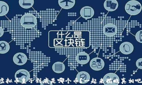 虚拟币皇子到底是哪个币?一起来揭晓真相吧!