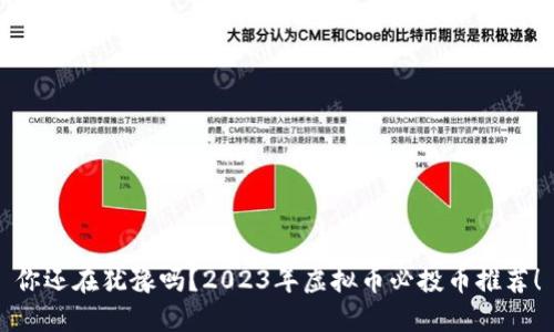 你还在犹豫吗?2023年虚拟币必投币推荐!