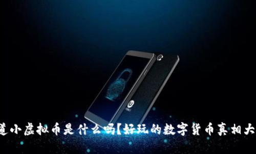 你知道小虚拟币是什么吗？好玩的数字货币真相大揭秘！
