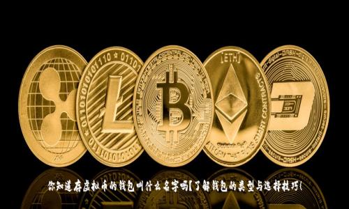 你知道存虚拟币的钱包叫什么名字吗？了解钱包的类型与选择技巧！