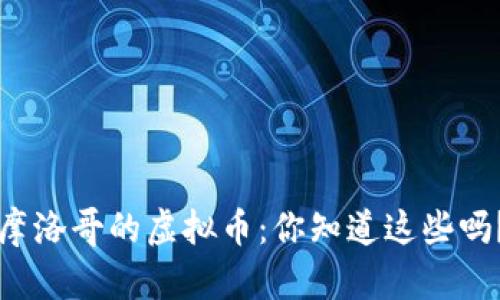 摩洛哥的虚拟币：你知道这些吗？
