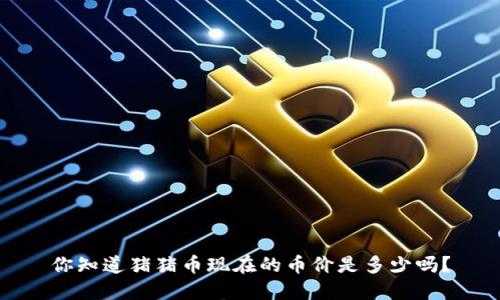 你知道猪猪币现在的币价是多少吗？