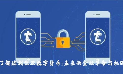 了解玻利维亚数字货币：未来的金融革命与机遇