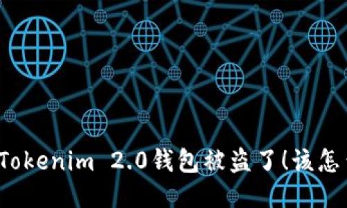 我的Tokenim 2.0钱包被盗了!该怎么办?